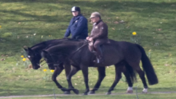 While Prince Andrew goes horse riding in Windsor, rest of the royal family attends Commonwealth Service