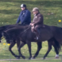 While Prince Andrew goes horse riding in Windsor, rest of the royal family attends Commonwealth Service