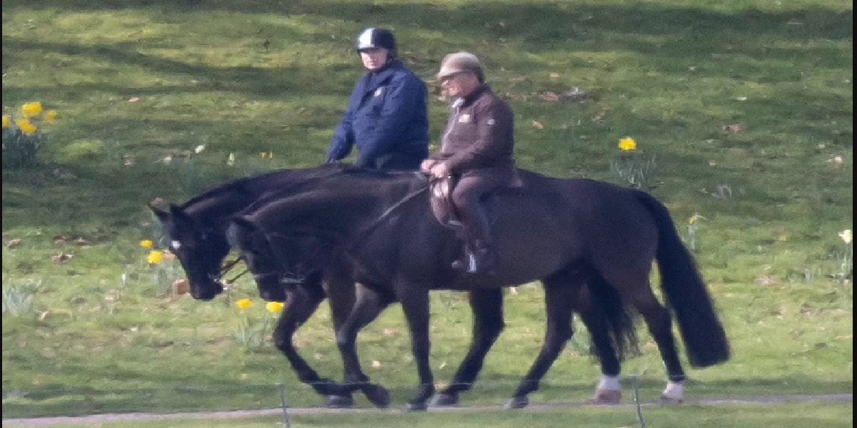 Prince Andrew
