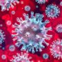 Covid Cases on the Rise in the U.S. A Strong Warning