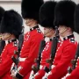 140 black bears will be slaughtered to make ceremonial hats for the Queen’s guard