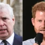 What does it signify that Prince Andrew and Prince Harry are still Counsellors of State?
