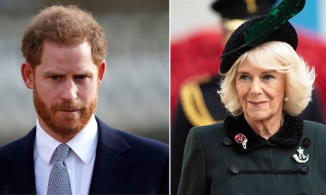 Prince Harry ready to launch attacks on future Queen Camilla