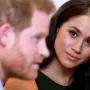 Meghan Markle news: Fans slam hypocrite Prince Harry for attending a rodeo in Texas, betraying Meg’s stance on animal rights