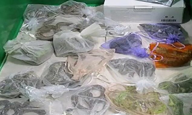 Man arrested for hiding 52 endangered snakes & lizards under his clothes