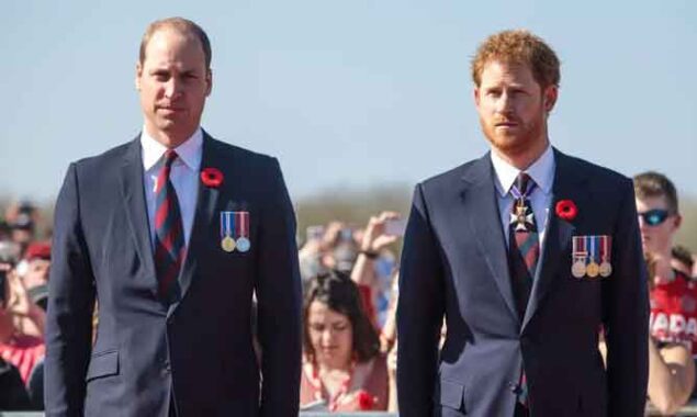 Prince Harry needed Prince William after Diana’s death