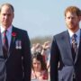 Prince Harry needed Prince William after Diana’s death