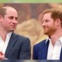 Prince William and Prince Harry will reconnect soon
