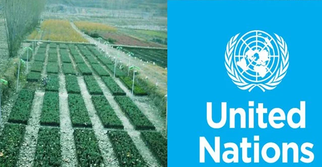 UN Environment Program praises Pakistan's efforts to restore ecosystems