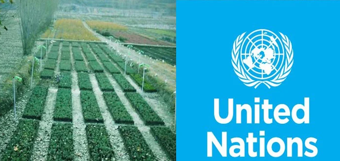 UN Environment Program praises Pakistan's efforts to restore ecosystems