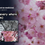 Stunning photos of cherry blossoms bloom in Japan filled up Twitter