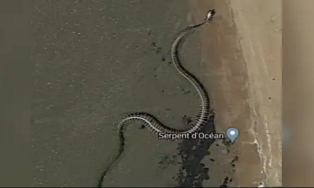 Watch: Discovery of a massive ‘snake skeleton’ on Google Maps