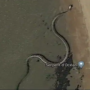Watch: Discovery of a massive ‘snake skeleton’ on Google Maps