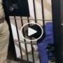 Viral Video: Prisoner gives a live demo of how to escape jail