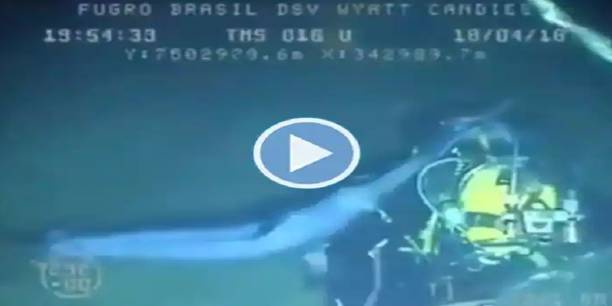 swordfish
