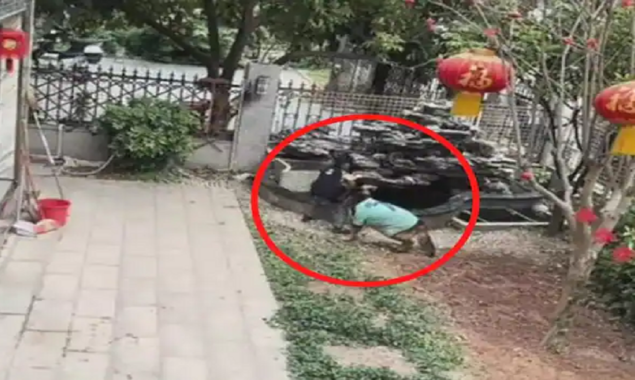 Watch Video: A dog rescue a kid from falling into a pond also gets his ball