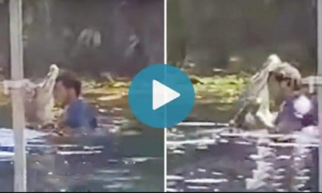 Watch Video: A man dances and hugs an alligator goes viral