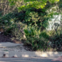Jacob Elordi hero of ‘Euphoria,’ plays endearing boyfriend to his real-life lover Bianca Finch