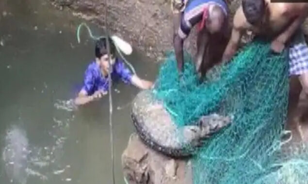 Watch photos: Two-year-old spotted deer in deep well rescued by forest officials