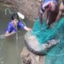 Watch photos: Two-year-old spotted deer in deep well rescued by forest officials
