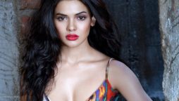 Sara Loren opens up about why she chose to work in Bollywood