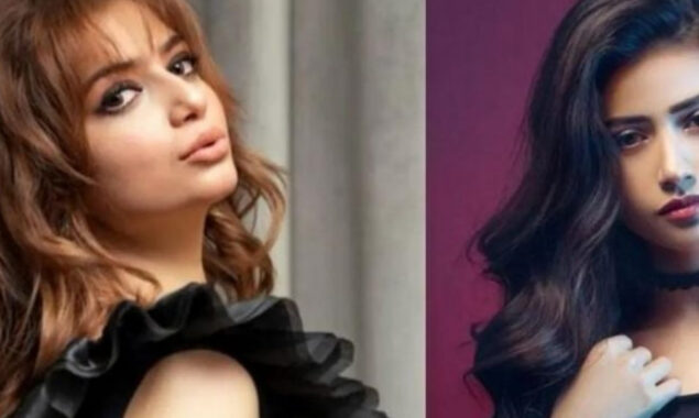 ‘Karma Is A B*tch’ Faysal Qureshi’s Daughter criticizes Sana Javed