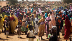 Somalia calls for urgent donor support as drought affects 6.9 mln people