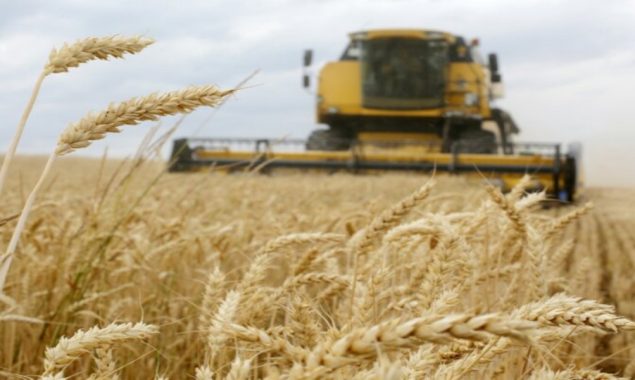 Ukraine sets export quotas on key agricultural products