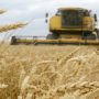 Ukraine sets export quotas on key agricultural products