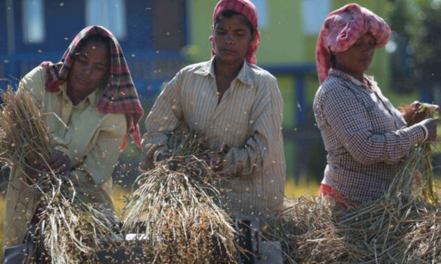 Economic Watch: Russia-Ukraine conflict heightens worries over Indian economy