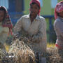Economic Watch: Russia-Ukraine conflict heightens worries over Indian economy