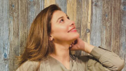 Hina Altaf’s new photo makes round on social media