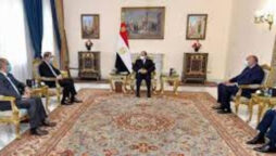 Egypt, Pakistan agree to boost bilateral ties