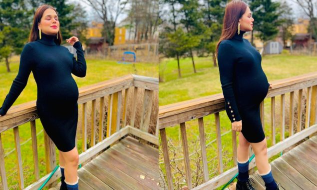 Actress Zohreh Amir is going to blessed with twin babies