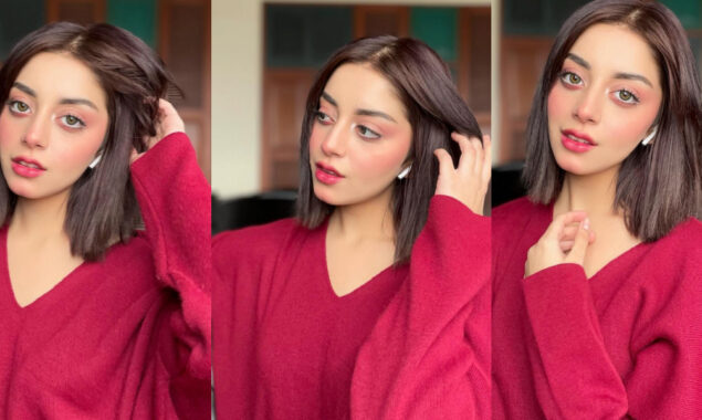 Alizeh Shah’s latest Instagram post won her fans’ hearts
