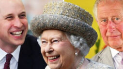Prince Charles and William are asked to prevent the Queen from ‘more harm’