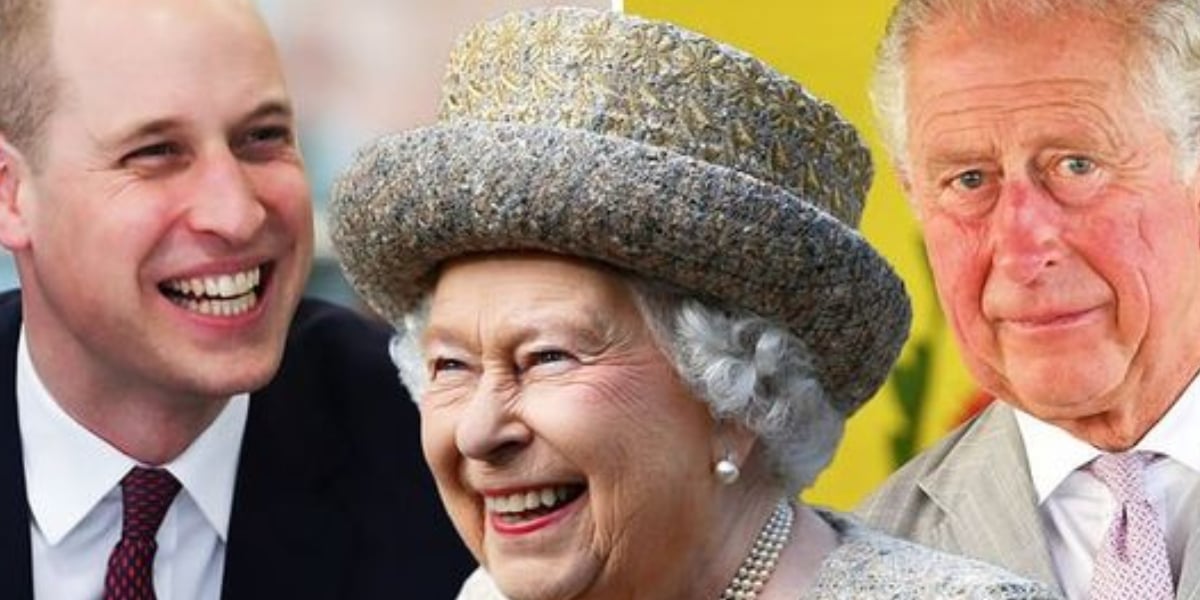 Prince Charles and William are asked to prevent the Queen from 'more harm'