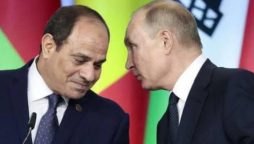 Egyptian, Russian presidents hold phone talks over Ukraine situation