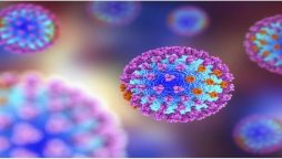 flu viruses