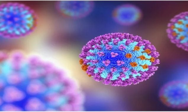 Aussie researcher warns of deadly risk of novel flu viruses