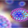 Aussie researcher warns of deadly risk of novel flu viruses