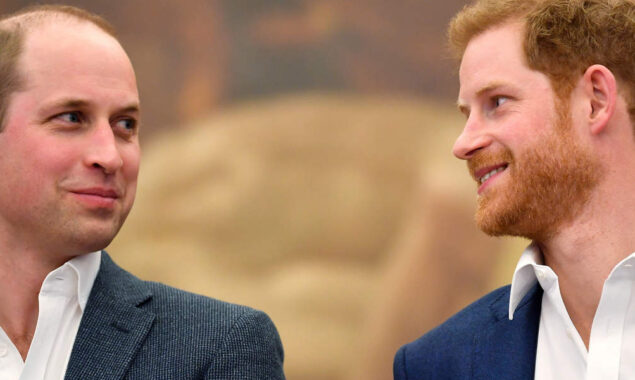 Prince Harry shares amazing relationship with brother Prince William