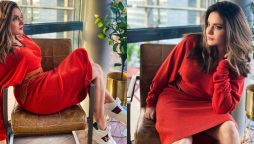 Armeena Khan sets temperature soaring in a red outfit