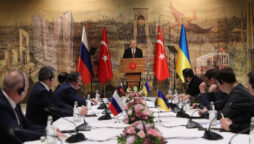 World Insights: Russia-Ukraine talks “constructive” to settle conflict