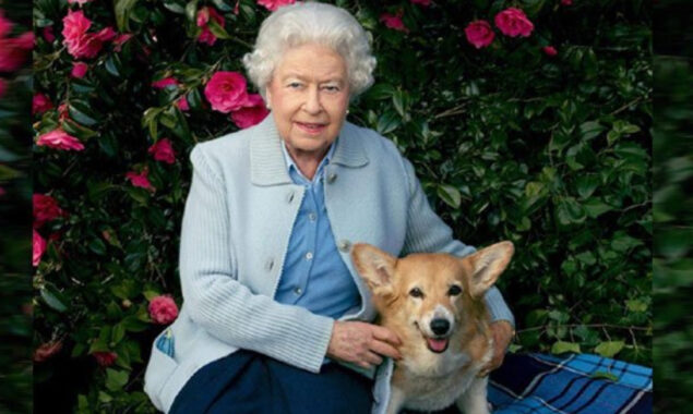 The Queen has recommended the exclusion of Prince Harry from the royal family-=p0-