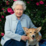 The Queen has recommended the exclusion of Prince Harry from the royal family-=p0-