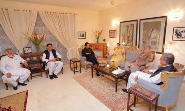 GDA, BAP delegations call on PM Imran Khan in Islamabad