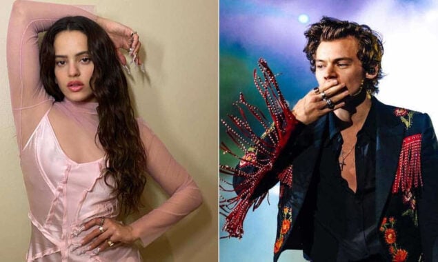 Rosalia talks about Harry Styles’ interaction with a stranger on her old number