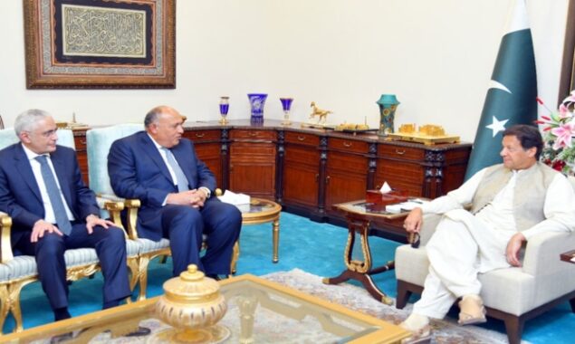 PM Imran stresses promotion of unity, solidarity among Muslim states