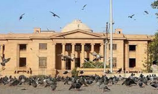 PPP MNA Jam Karim granted protective bail